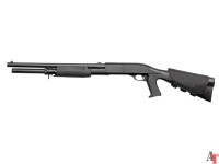 SAS 12 ASG